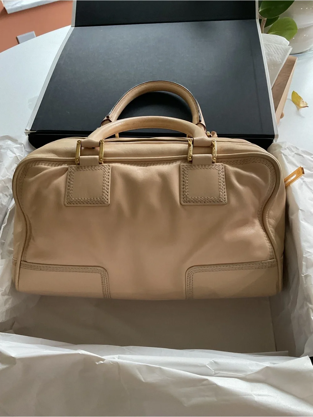 Loewe Amazona Soft blush Leather Satchel Bag